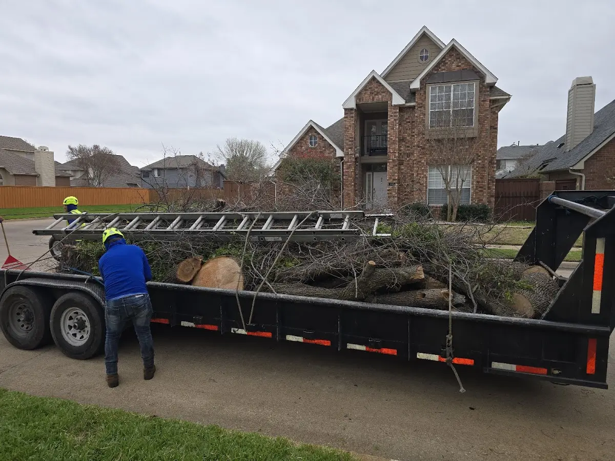 Expert Tree Pest Control with proper safety equipment in Fort Calhoun